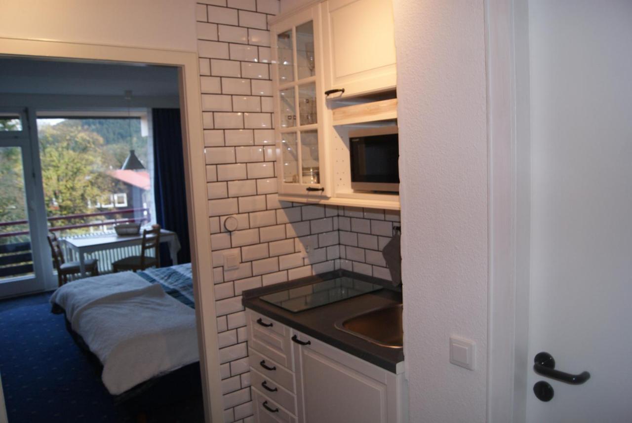 Appartement Bergblick471 à Goslar Extérieur photo